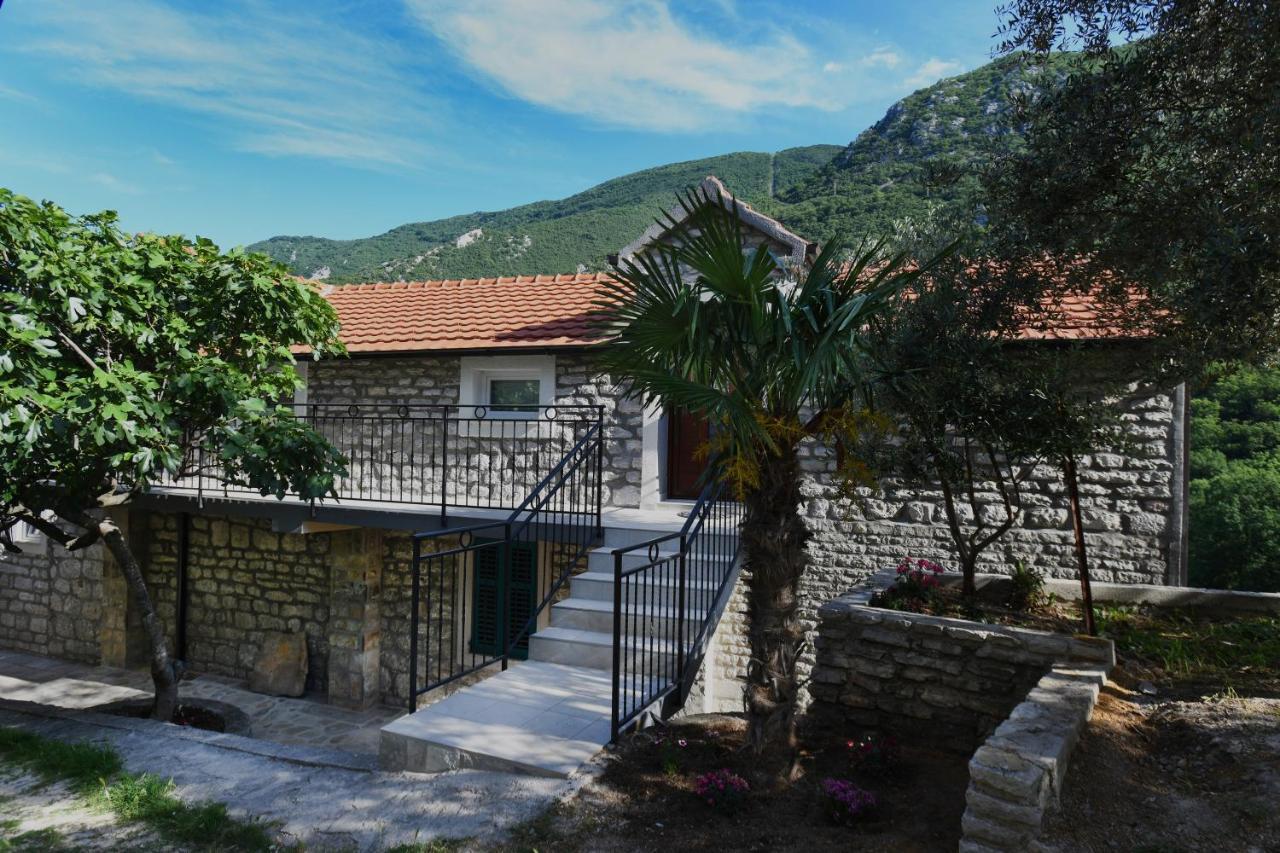 شقة Stone House Morinj كوتور المظهر الخارجي الصورة